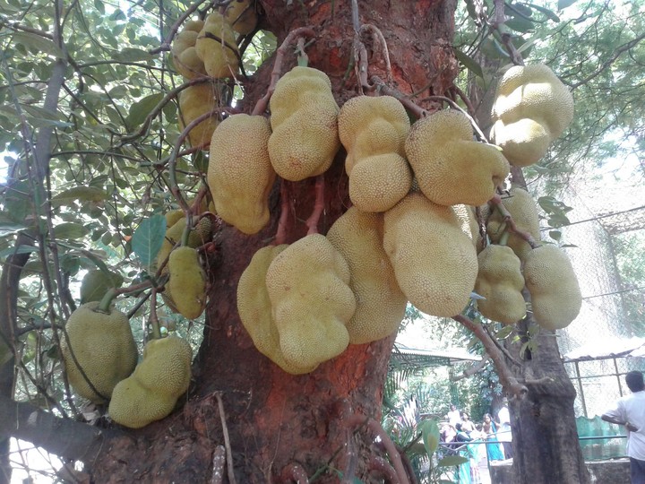 Keralam