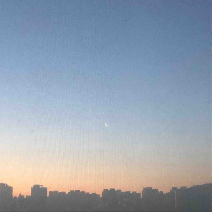 새벽