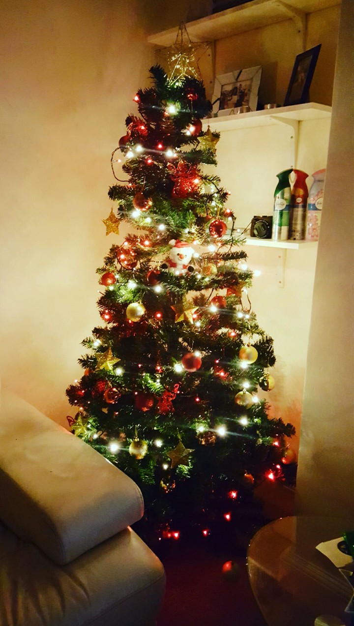 Christmas tree!