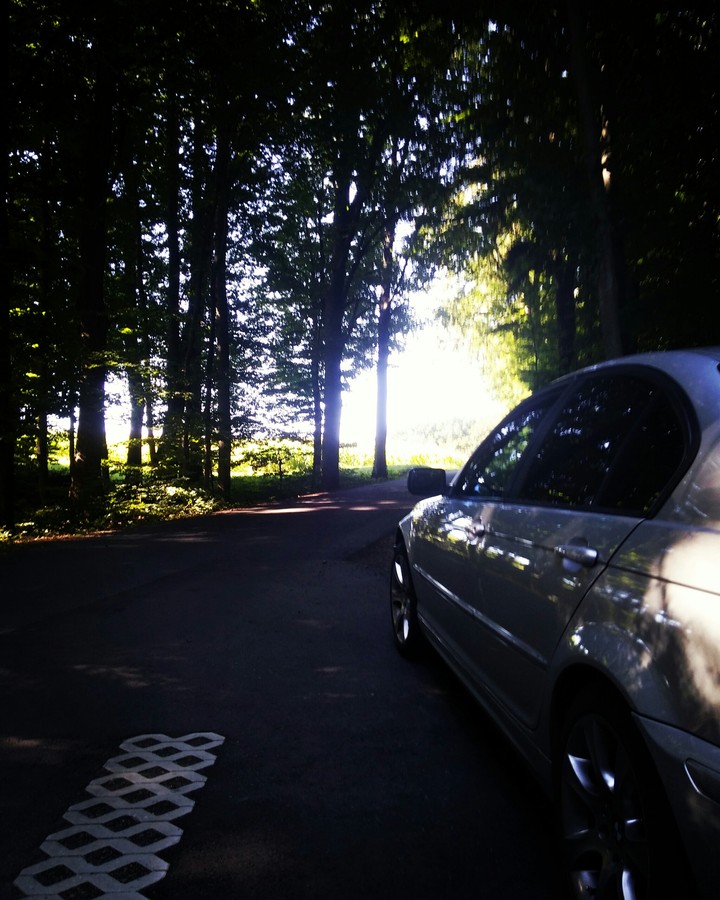 BMWe46