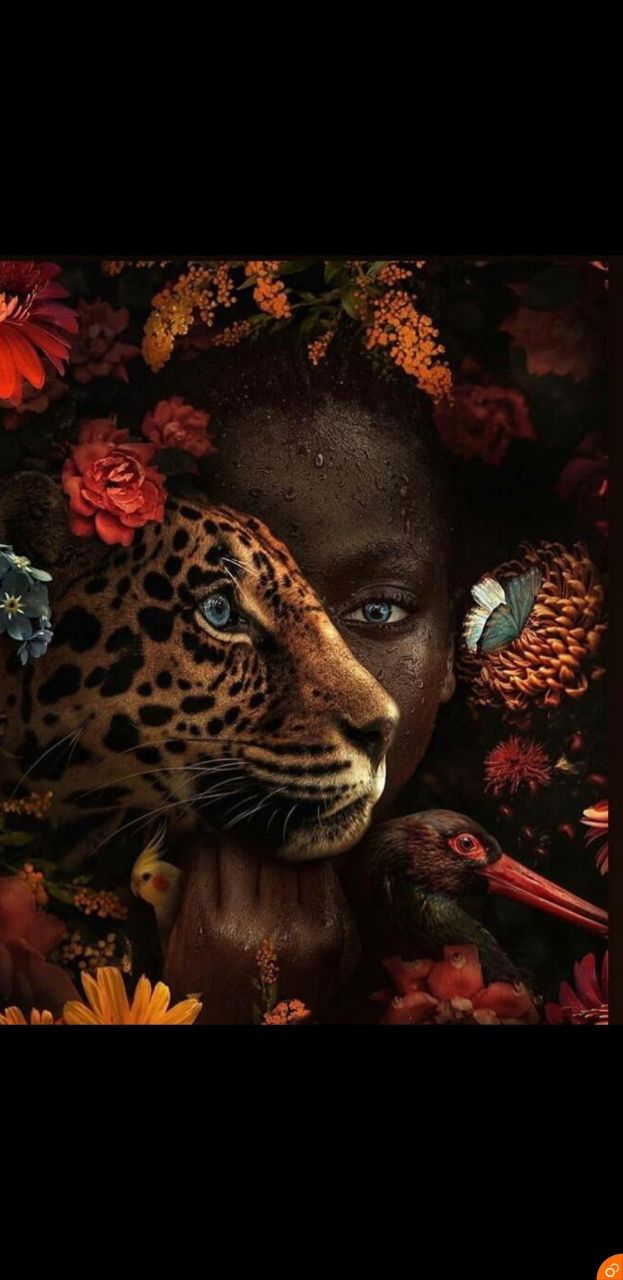 Boldness