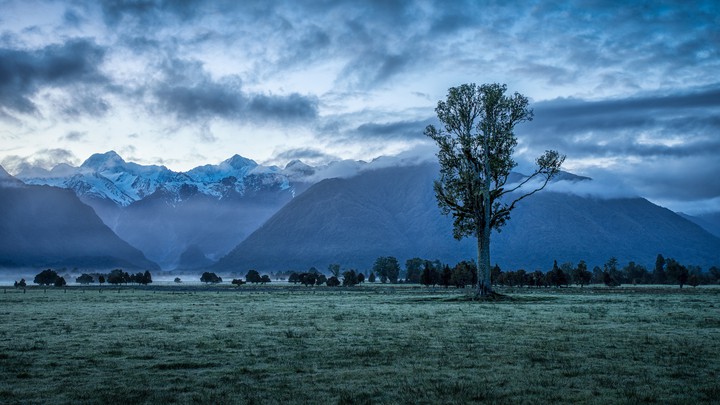 nature