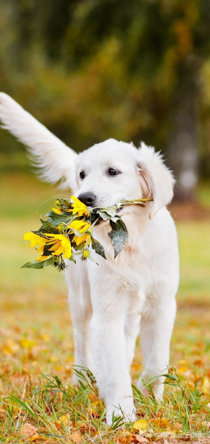so cute