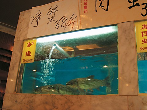 Asia
