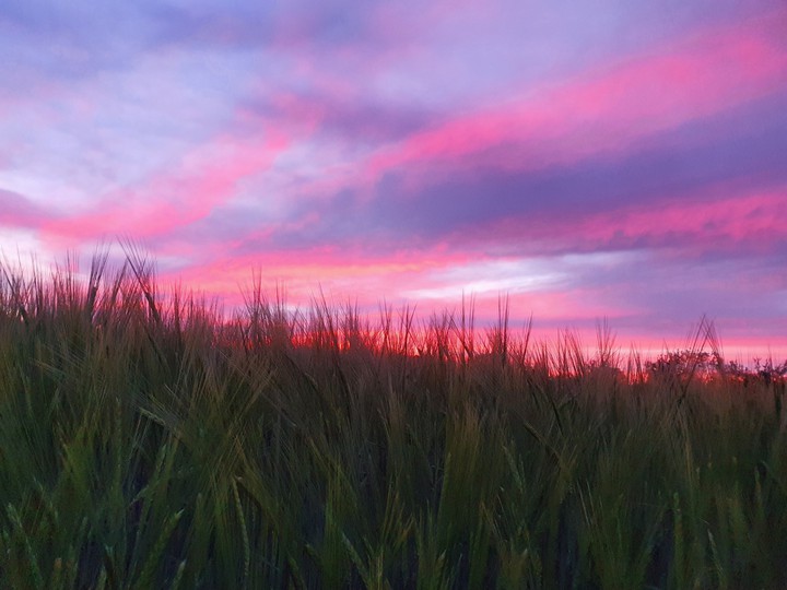 sunset