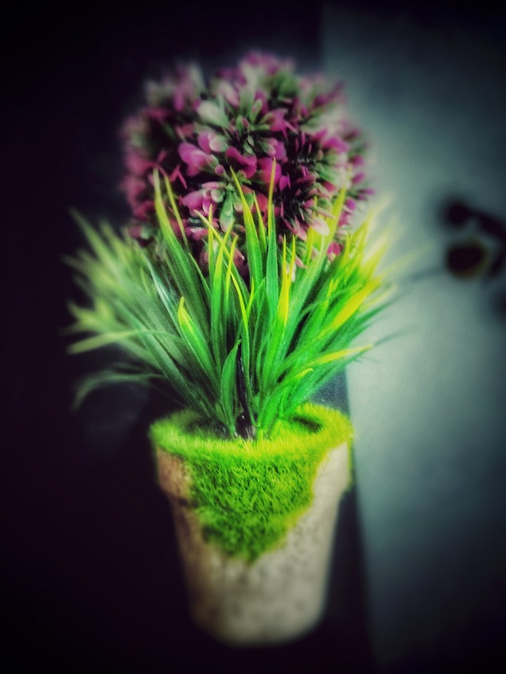 flower