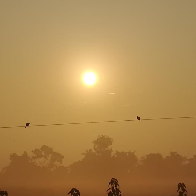 অভিমান