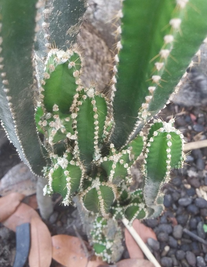 ?