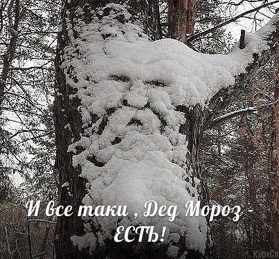 дед мороз