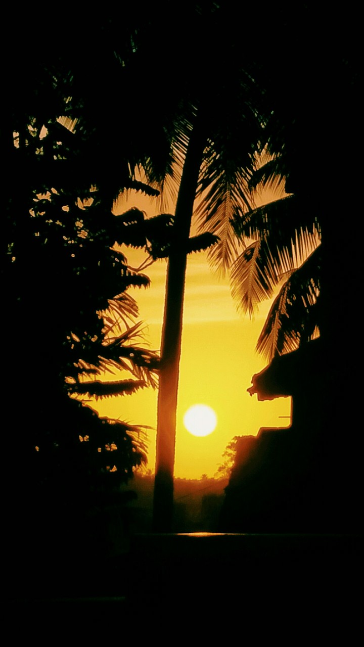 Sun set♥