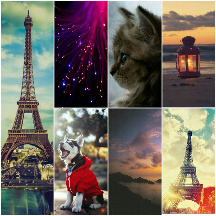 collage