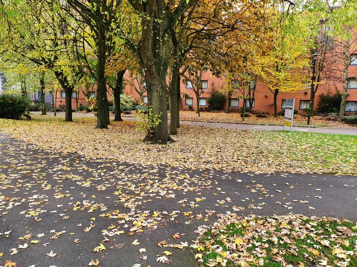 Birmingham