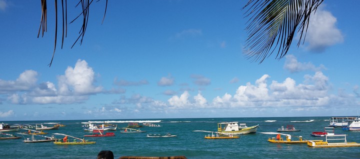 Porto de galinhas