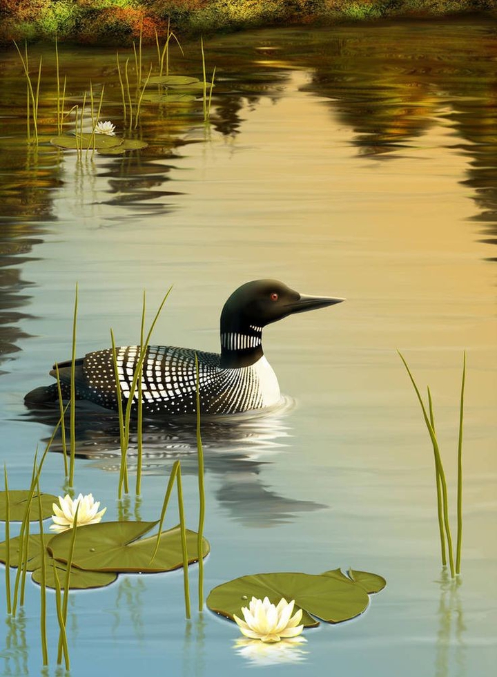 duck