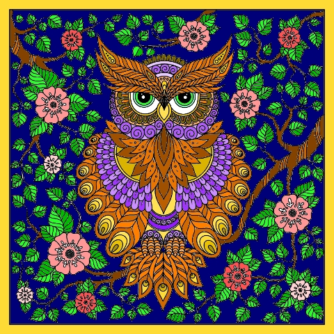 The owl