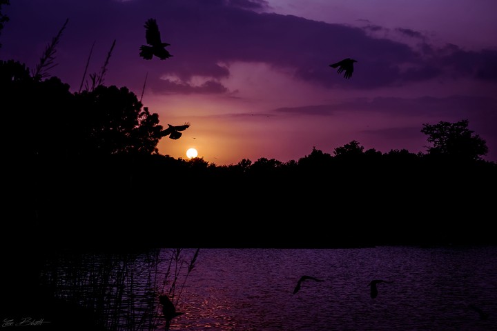 sunset