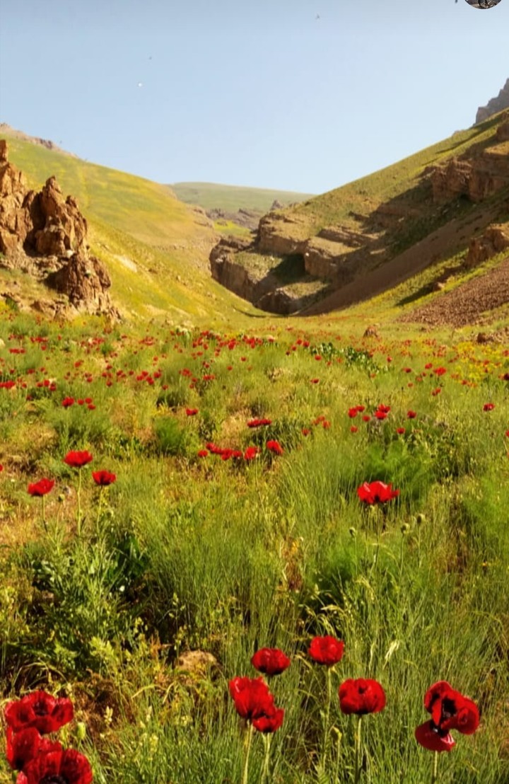 IRAN IS BEAUTIFUII