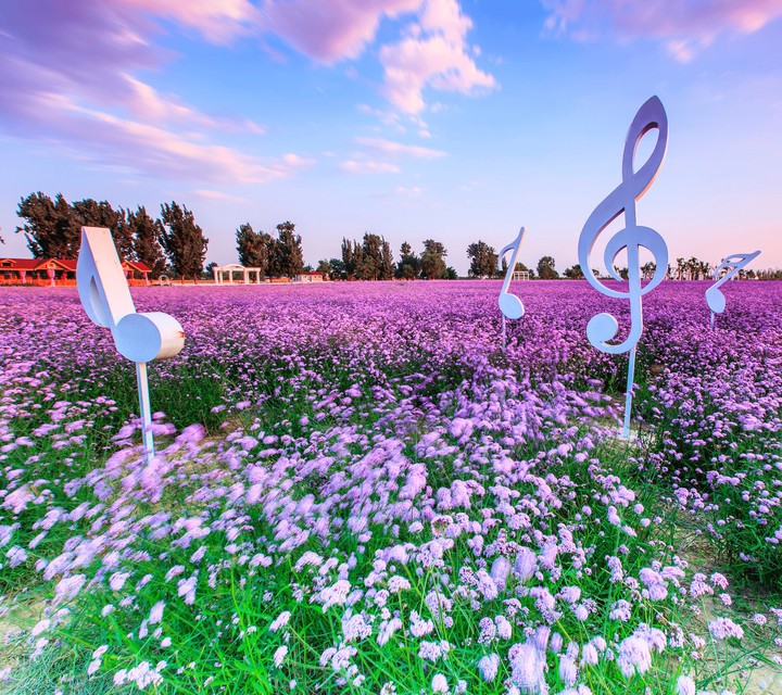 Music