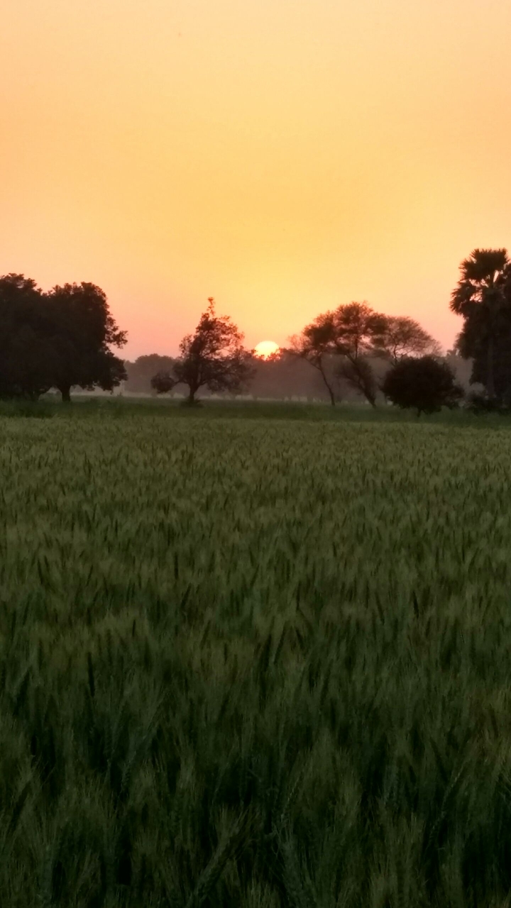 Sun set