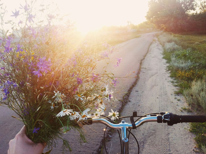 flower sunset