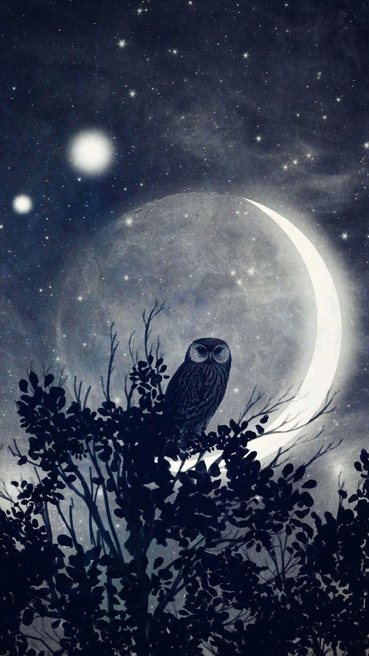 noche