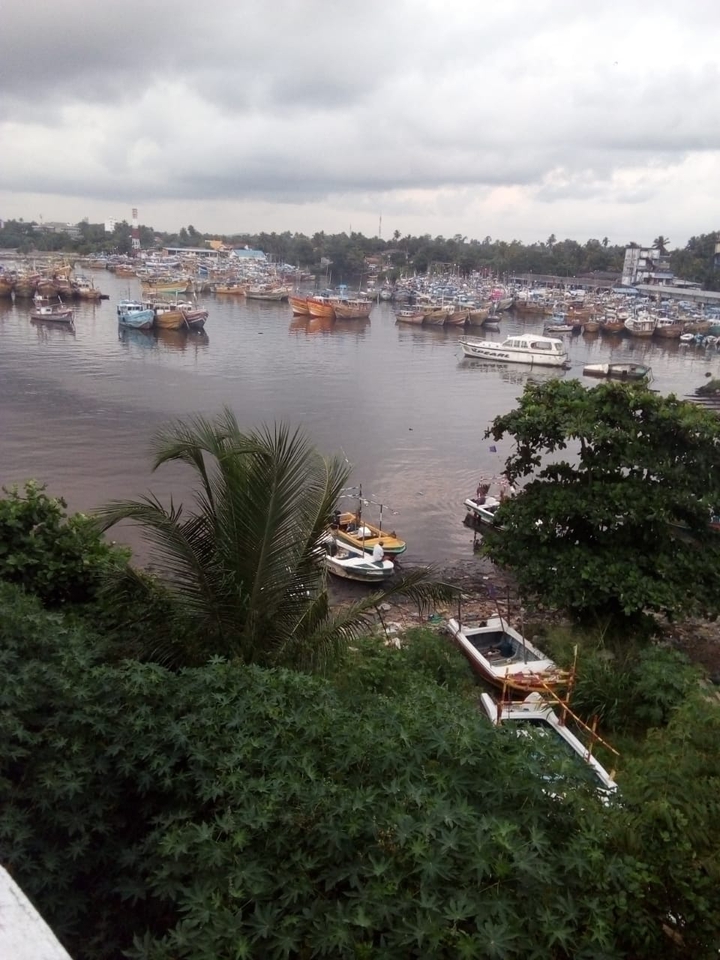 harbour