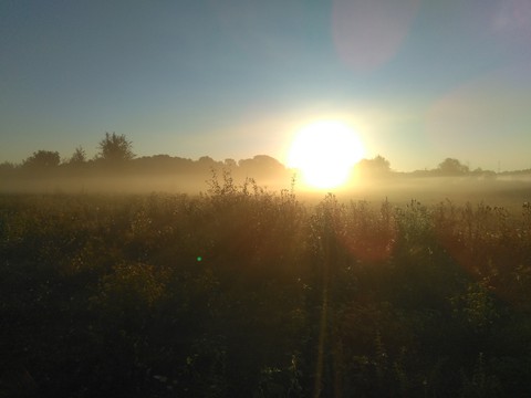 Good Morning