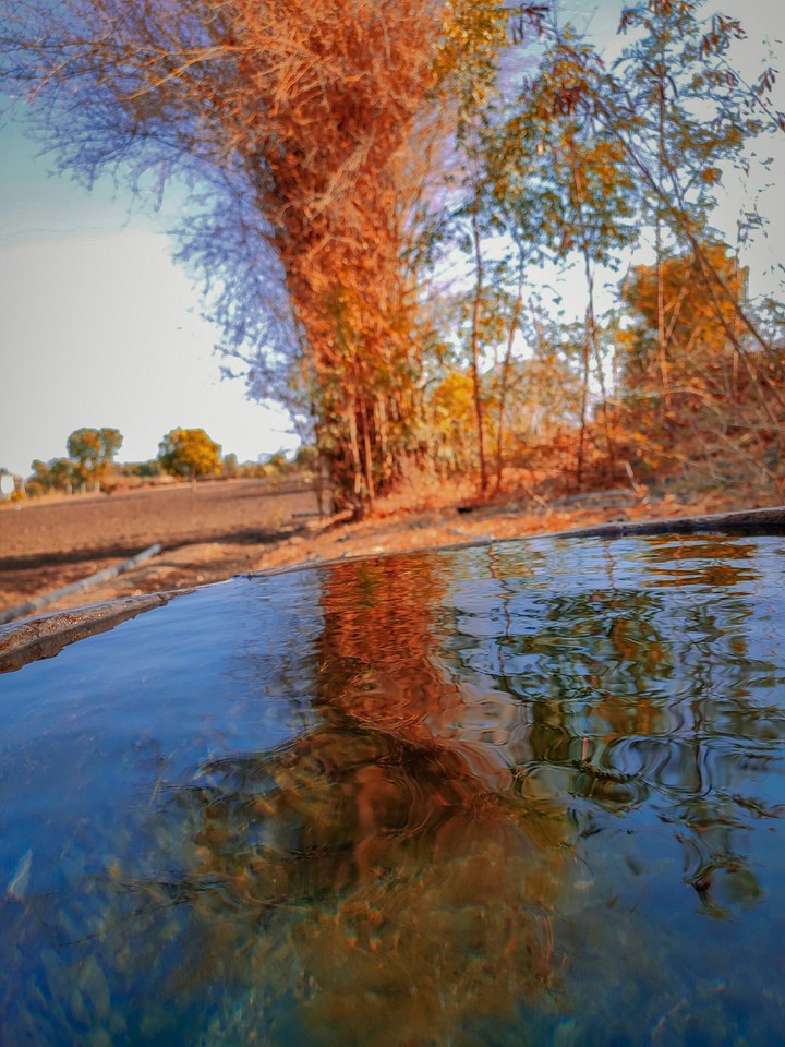 water