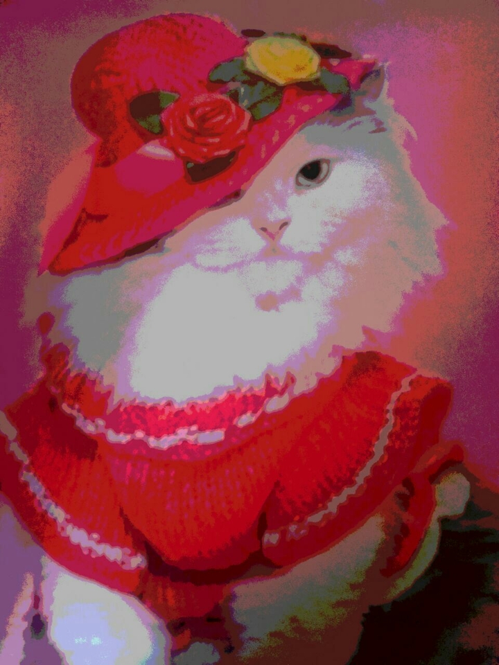 pink cat