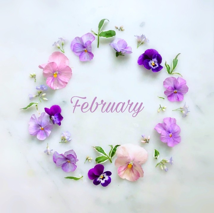 Hello February
