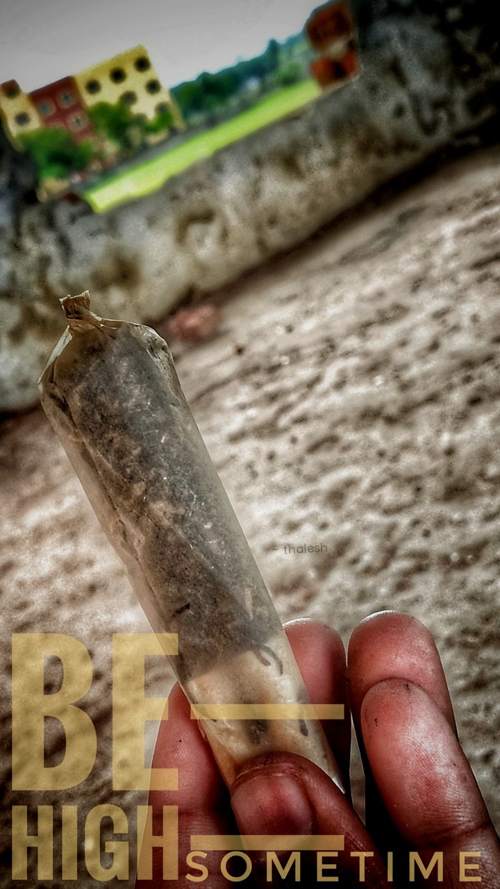 joint