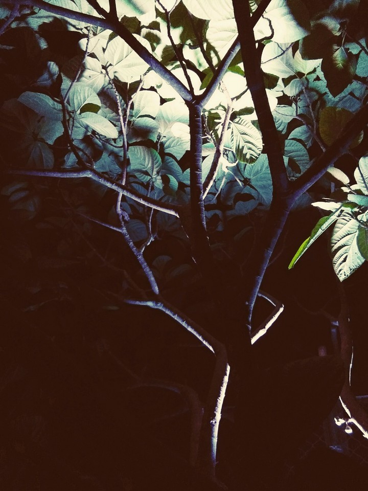 darkness