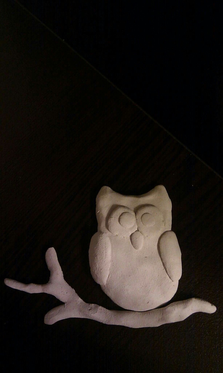 owl
