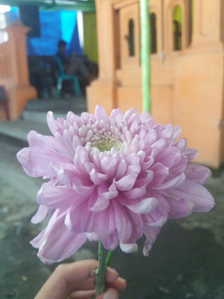 focus to background ? no !