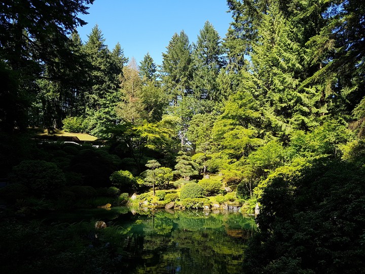 2018 portland japanese garden