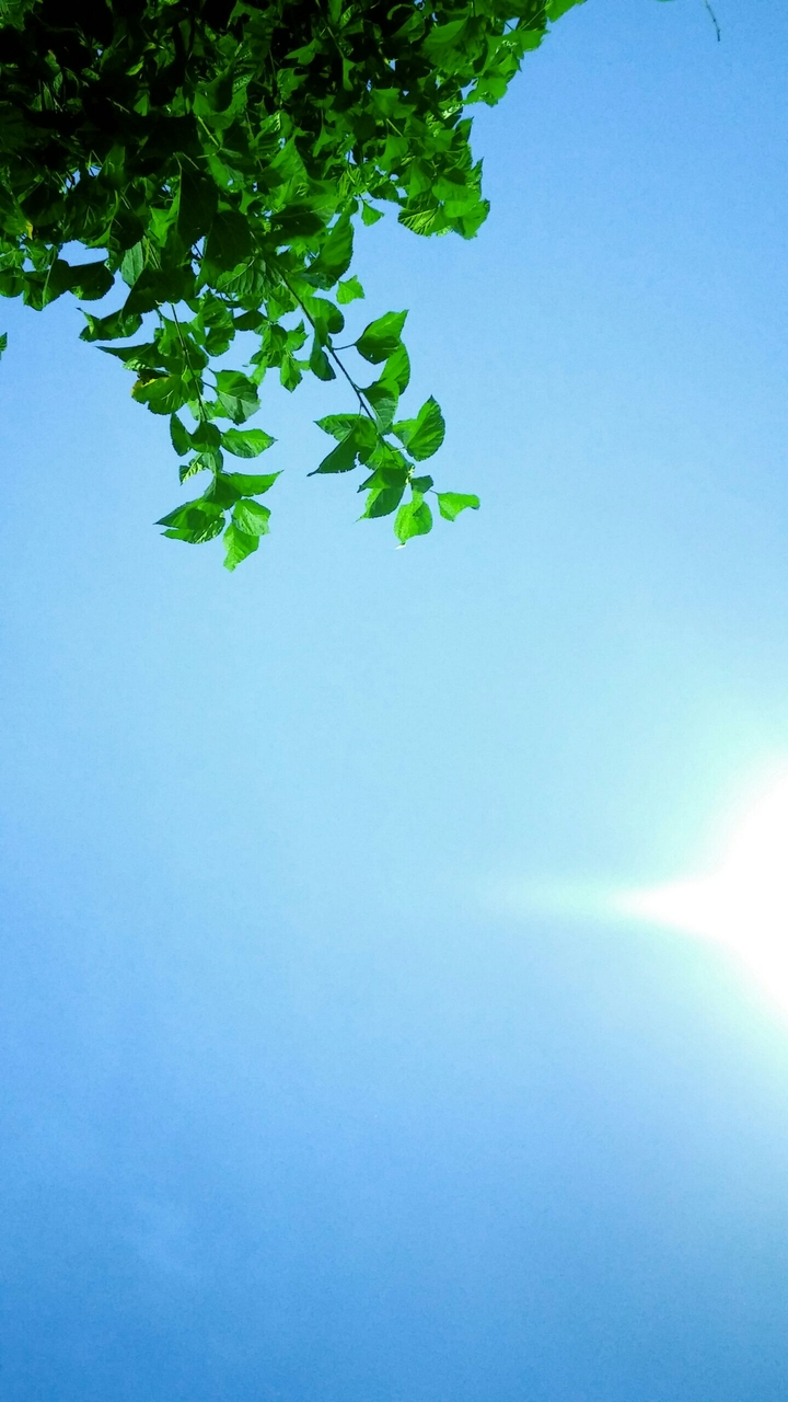 El verano en San Rafael