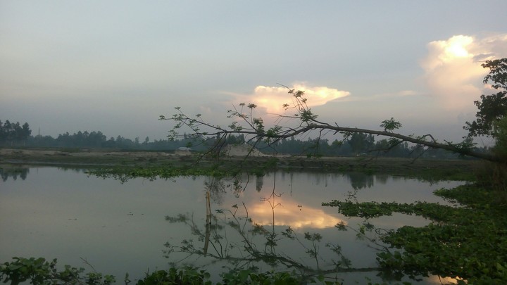 natura of beauty