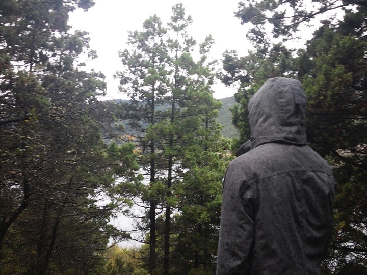 forest