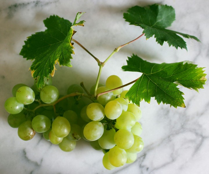 Grapes