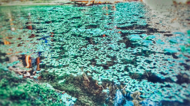 Lake