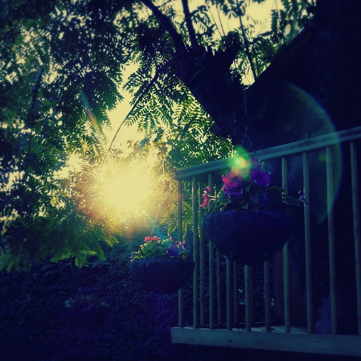 sunshine