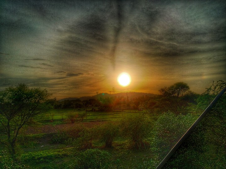 Nature