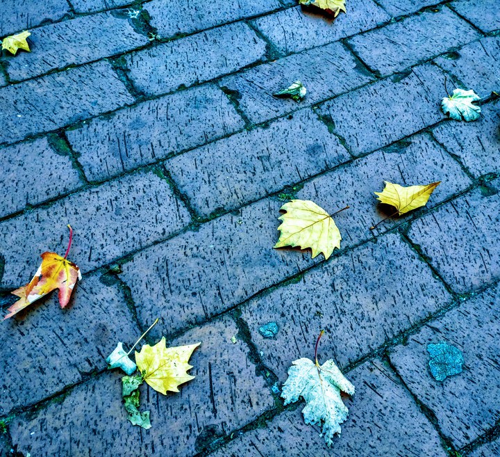 The Fallen