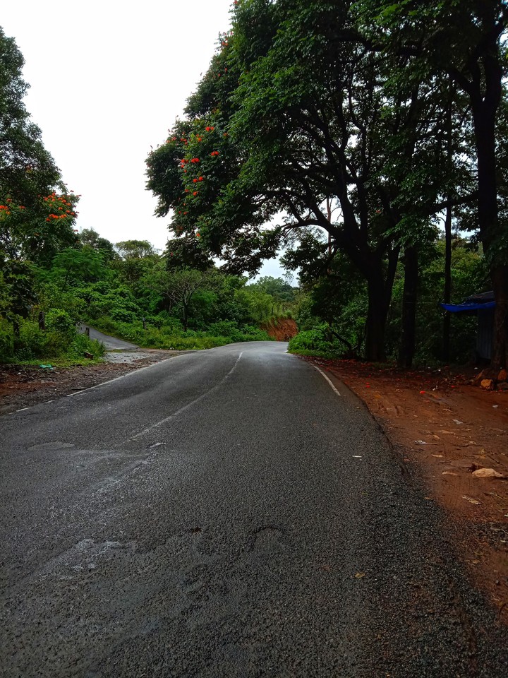 #munnar roads