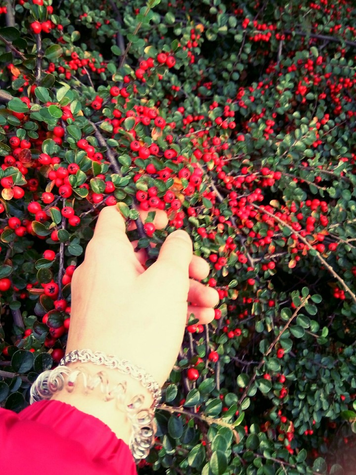 autumn❤