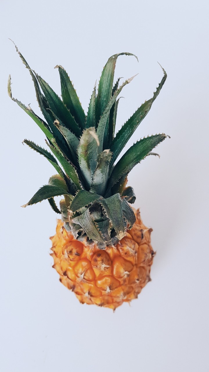 a pineapple