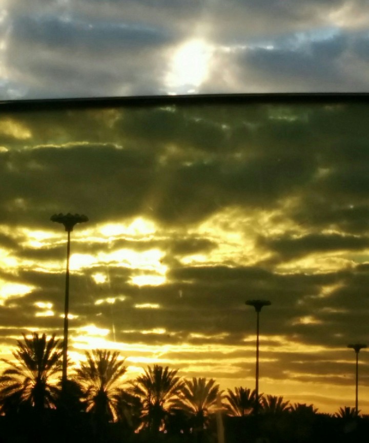a nice day
