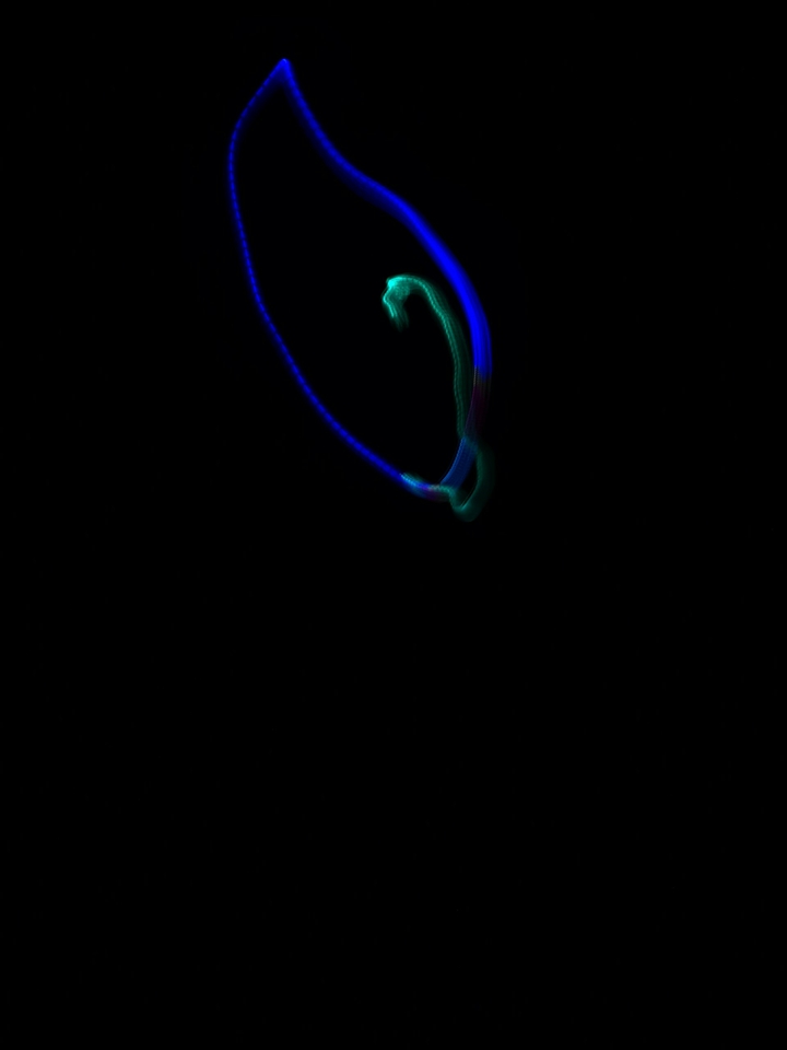 light