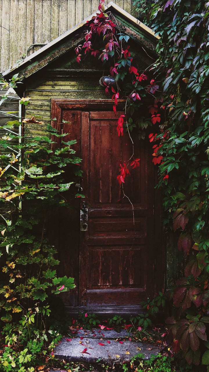 door