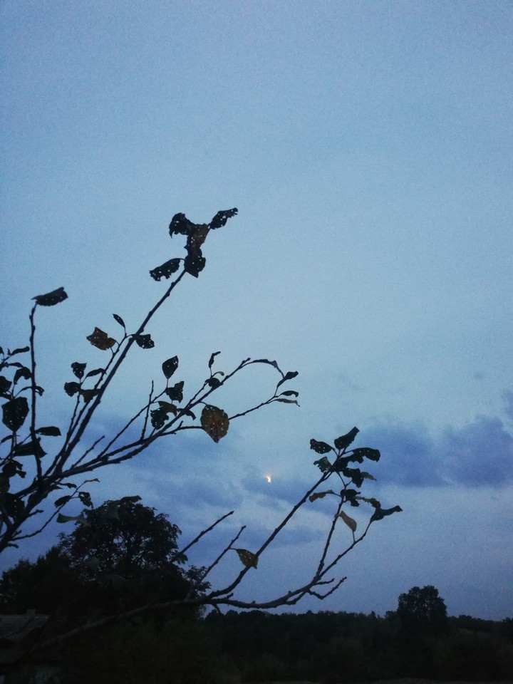 night
